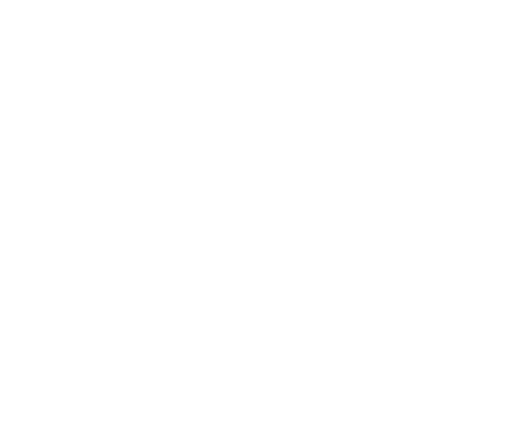 American Flag Icon