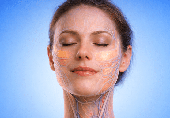 Injection Anatomy 1 1